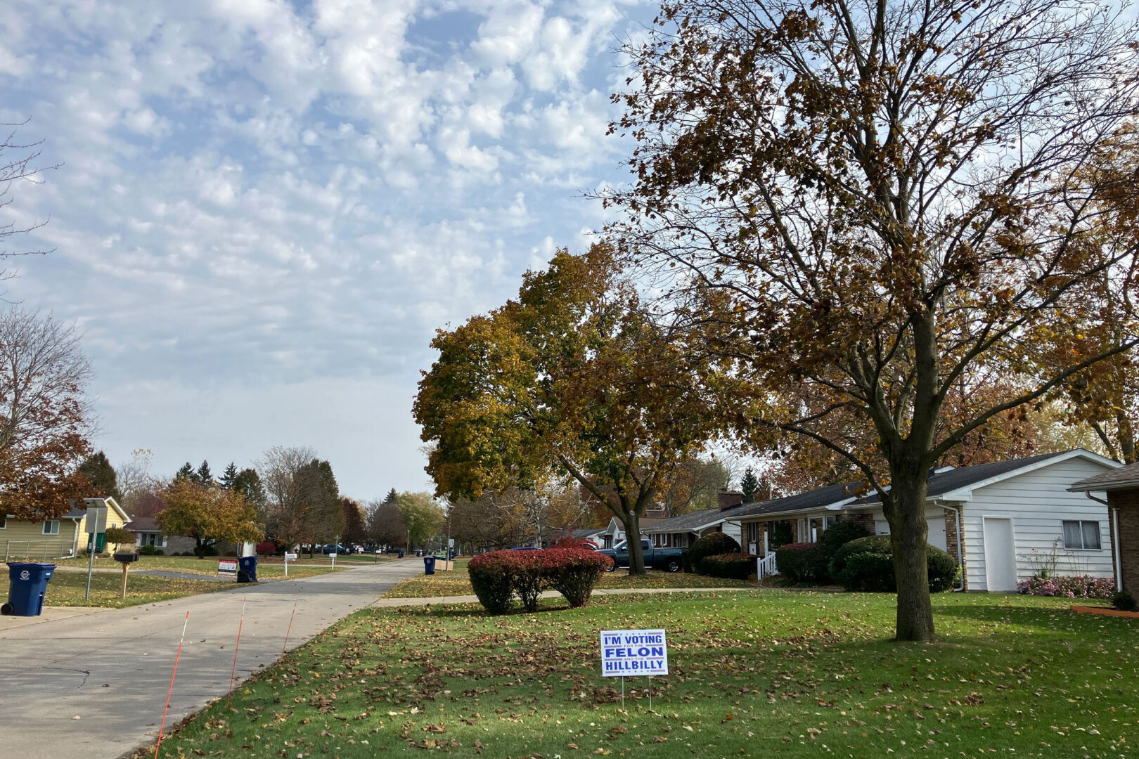 A lawn sign in Saginaw Township, Mich., reads "I'm voting for the felon and the hillbilly," references to former President Donald Trump and his running mate, Sen. JD Vance, R-Ohio.