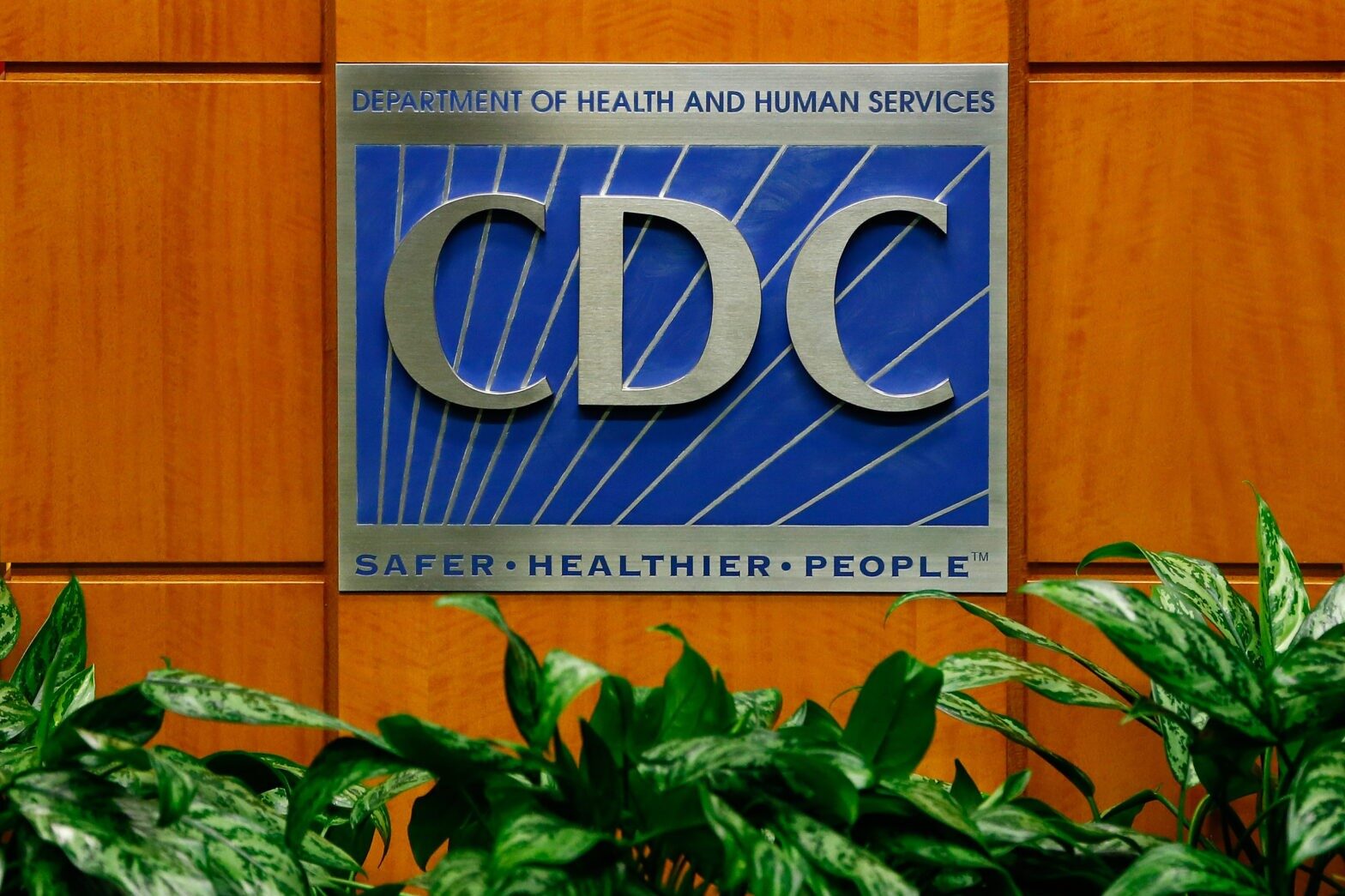 The CDC's National Center for Injury Prevention and Control studies injuries, including those related to firearms, domestic violence and traumatic brain injuries. 