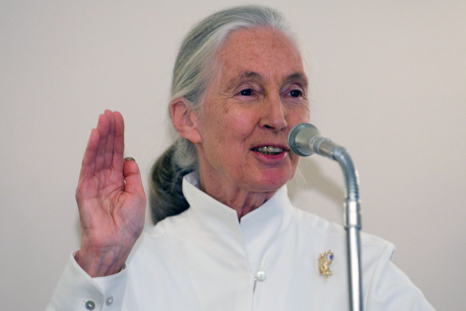 Dr. Jane Goodall speaks during an event in the Rayburn House Office Building on May 2, 2007, to bring attention to the plight of Africa’s rainforests.