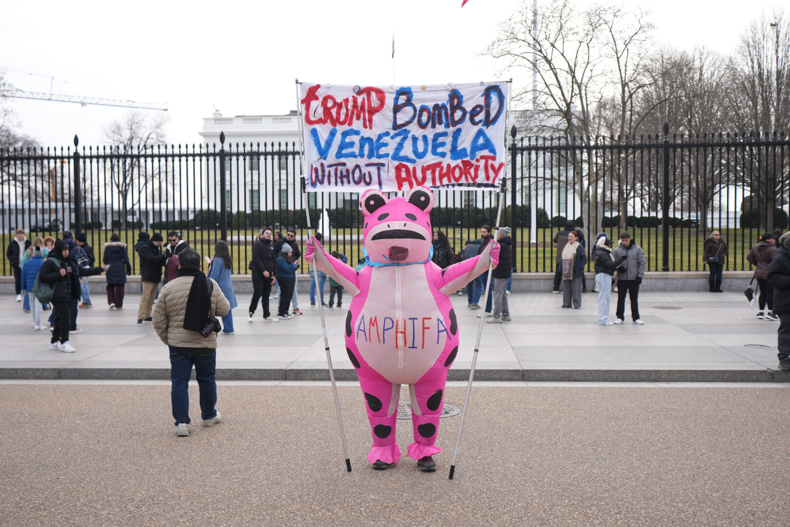 A protester outside the White House weighs in on President Donald Trump's decision to bomb Venezuela on Saturday.