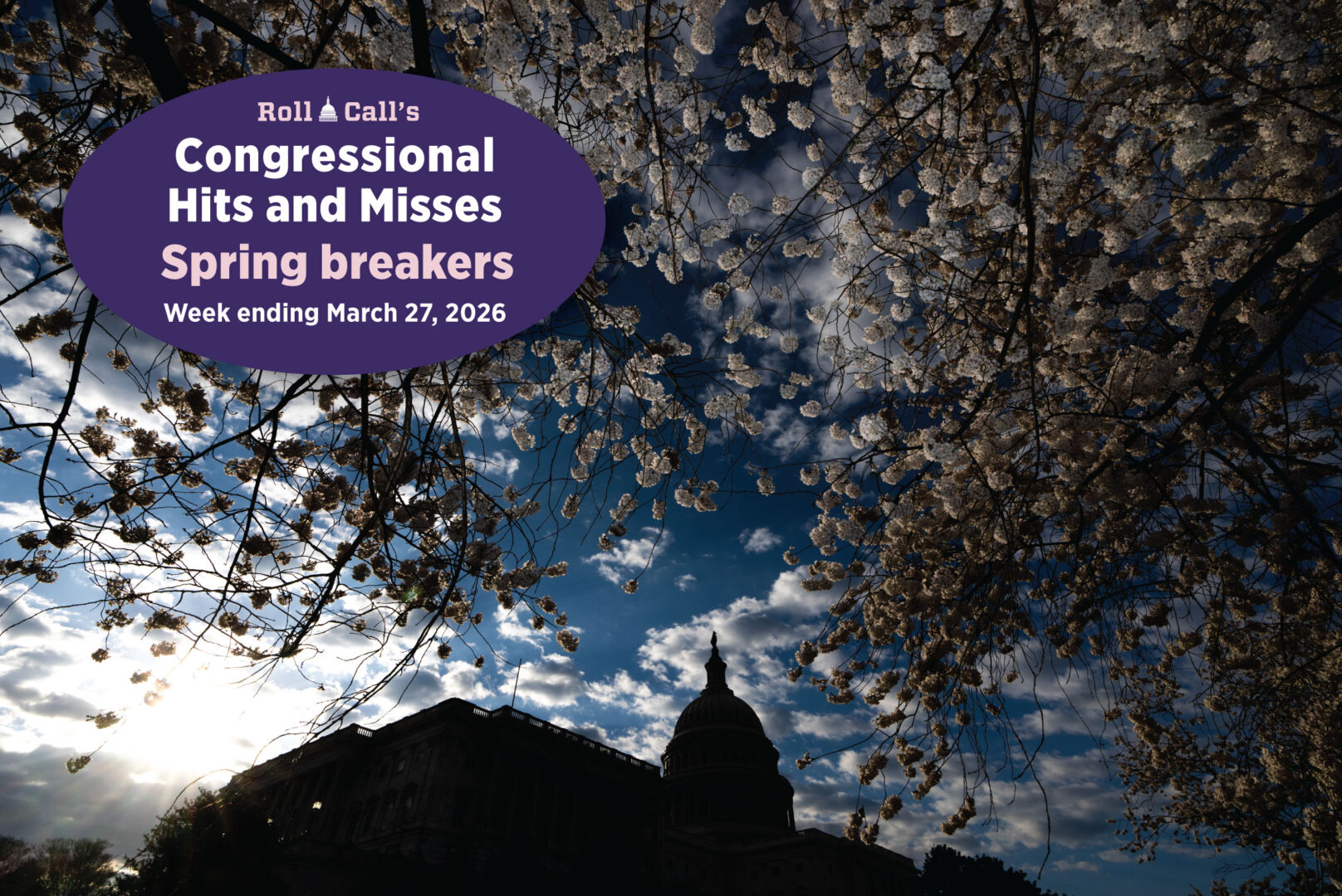 Peak bloom cherry blossoms frame the Capitol dome on the first full day of spring in 2024. 